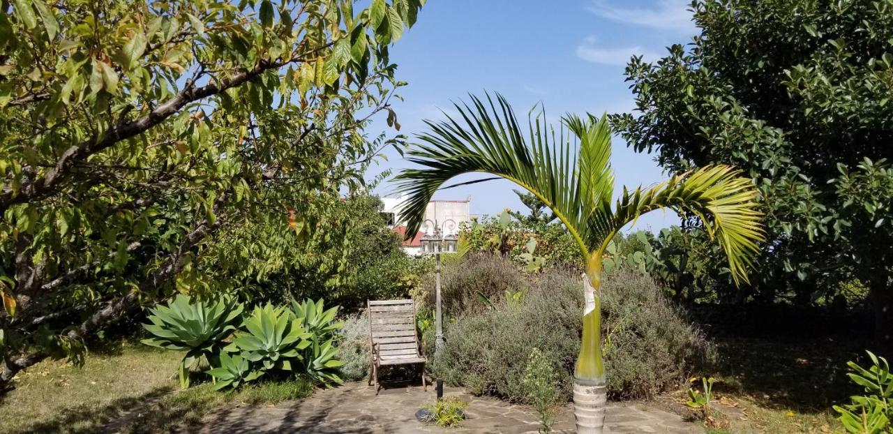 La Casita De La Vega Lejlighed Icod De Los Vinos Eksteriør billede