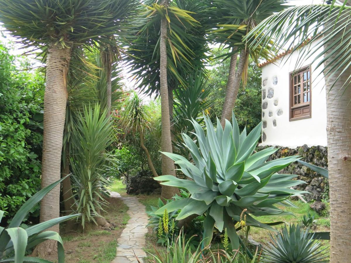 La Casita De La Vega Lejlighed Icod De Los Vinos Eksteriør billede