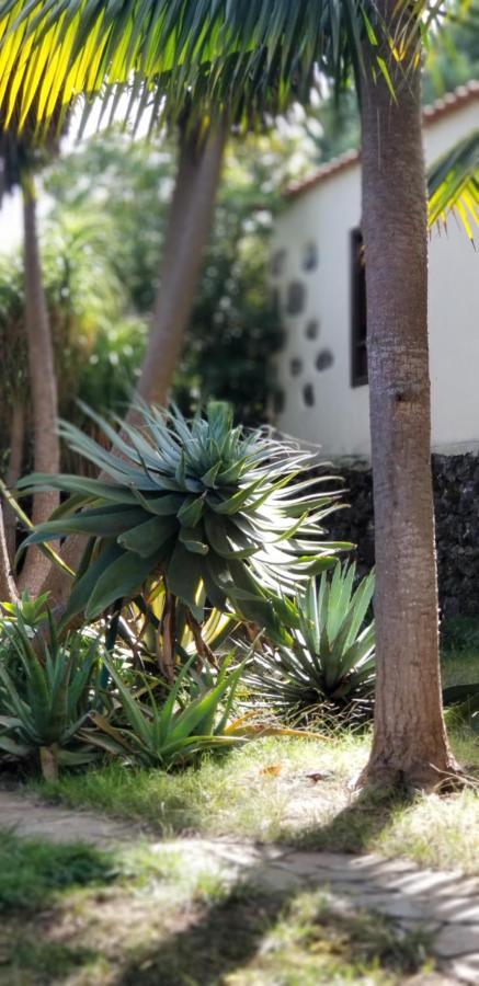 La Casita De La Vega Lejlighed Icod De Los Vinos Eksteriør billede