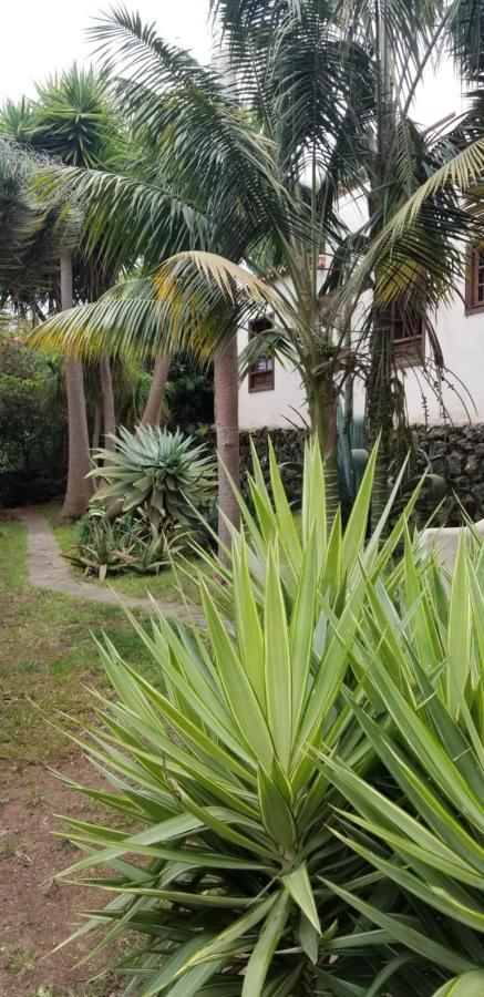 La Casita De La Vega Lejlighed Icod De Los Vinos Eksteriør billede