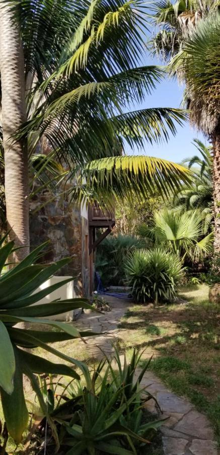 La Casita De La Vega Lejlighed Icod De Los Vinos Eksteriør billede