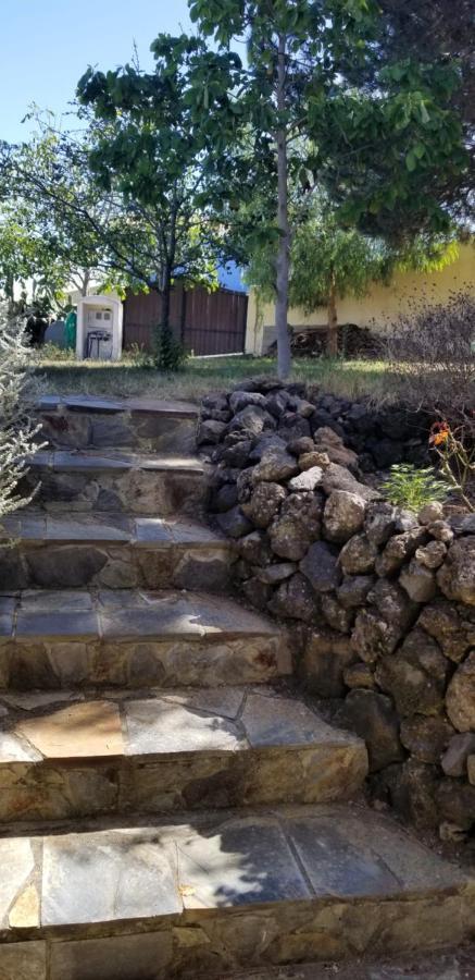 La Casita De La Vega Lejlighed Icod De Los Vinos Eksteriør billede