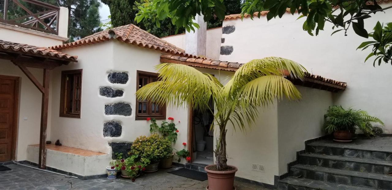 La Casita De La Vega Lejlighed Icod De Los Vinos Eksteriør billede