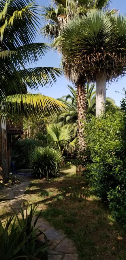 La Casita De La Vega Lejlighed Icod De Los Vinos Eksteriør billede
