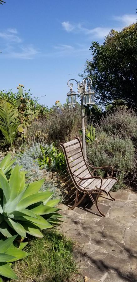 La Casita De La Vega Lejlighed Icod De Los Vinos Eksteriør billede