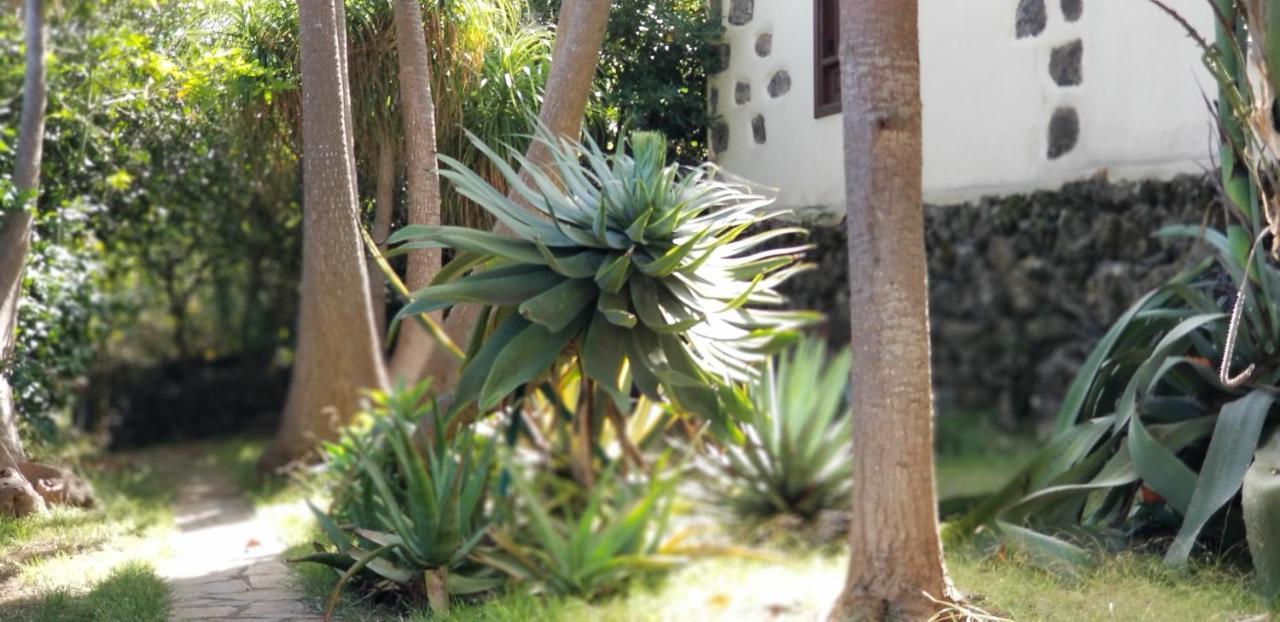 La Casita De La Vega Lejlighed Icod De Los Vinos Eksteriør billede