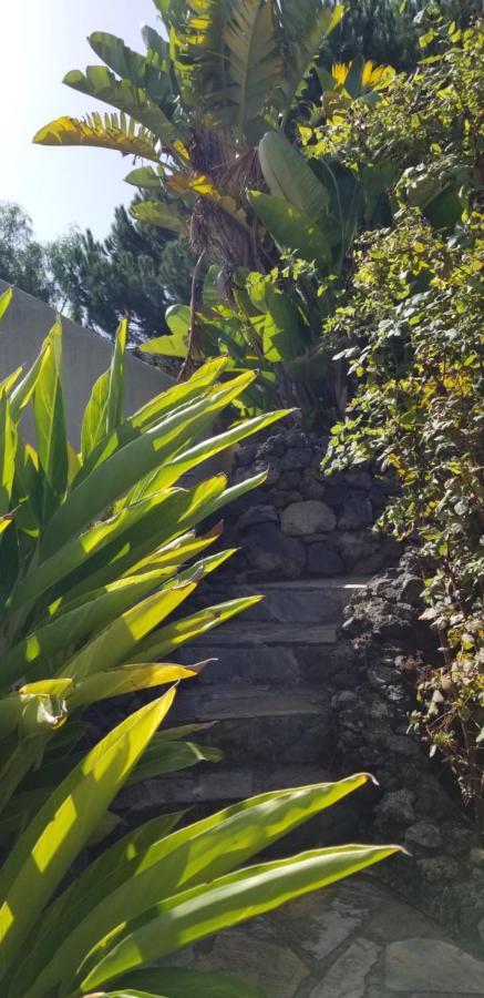 La Casita De La Vega Lejlighed Icod De Los Vinos Eksteriør billede