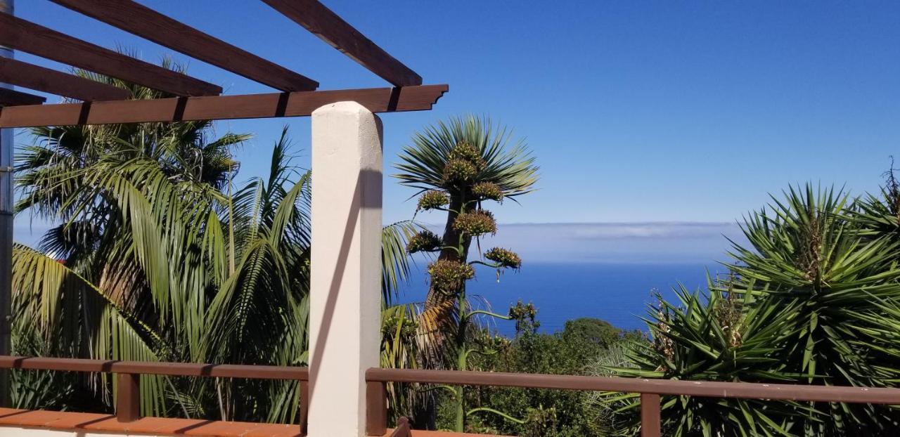 La Casita De La Vega Lejlighed Icod De Los Vinos Eksteriør billede