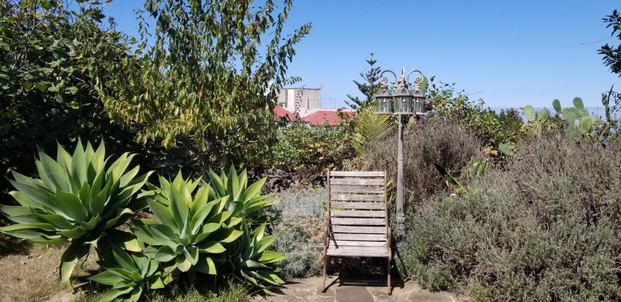 La Casita De La Vega Lejlighed Icod De Los Vinos Eksteriør billede