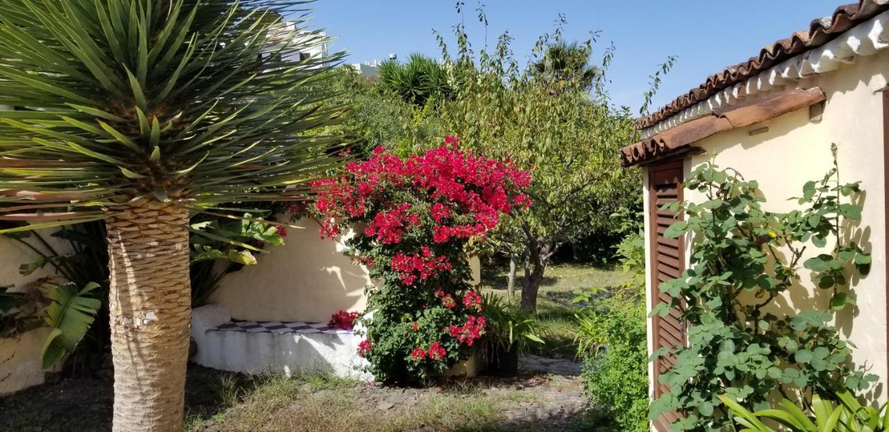 La Casita De La Vega Lejlighed Icod De Los Vinos Eksteriør billede